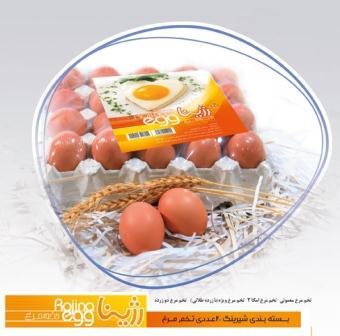 تخم مرغ رسمی ۲۰ عددی شیرینگ